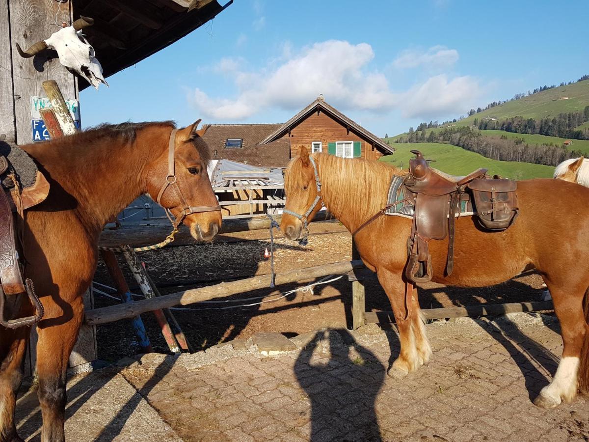Rothenthurm Beaver Creek Ranch מראה חיצוני תמונה